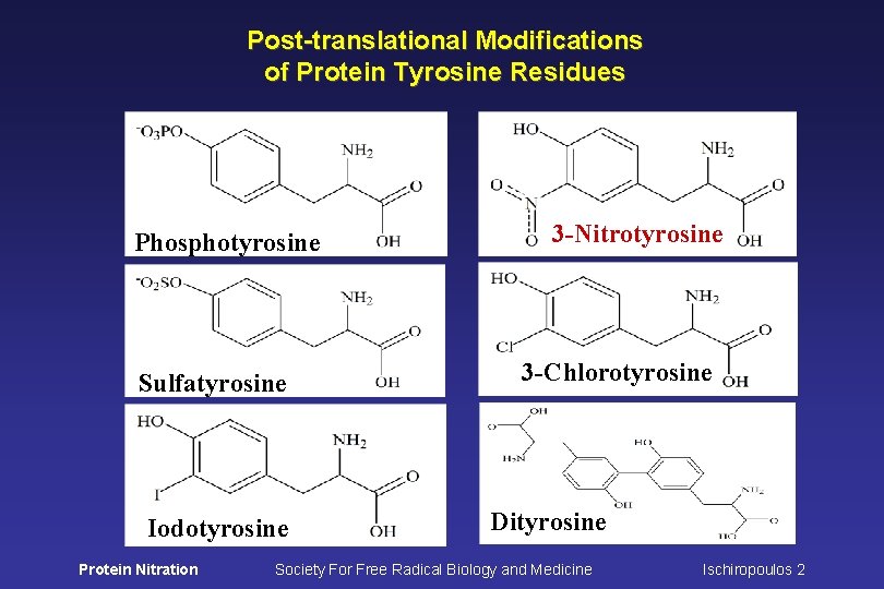 Post-translational Modifications of Protein Tyrosine Residues Phosphotyrosine Sulfatyrosine Iodotyrosine Protein Nitration 3 -Nitrotyrosine 3