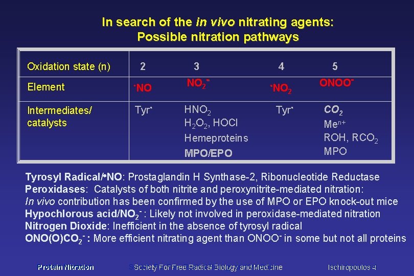In search of the in vivo nitrating agents: Possible nitration pathways Oxidation state (n)