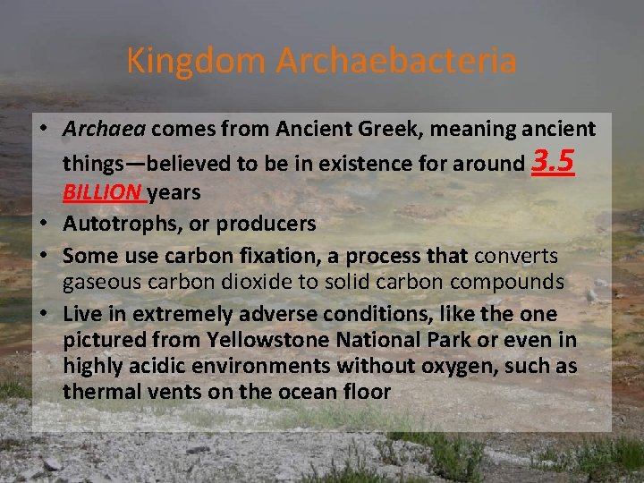 Kingdom Archaebacteria • Archaea comes from Ancient Greek, meaning ancient things—believed to be in