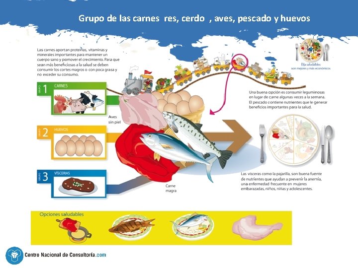 Grupo de las carnes res, cerdo , aves, pescado y huevos 