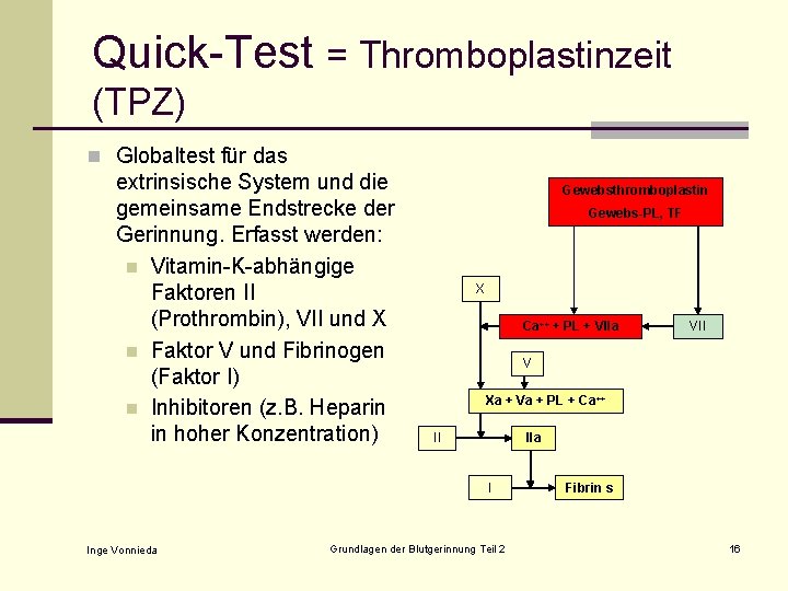 Quick-Test = Thromboplastinzeit (TPZ) n Globaltest für das extrinsische System und die gemeinsame Endstrecke