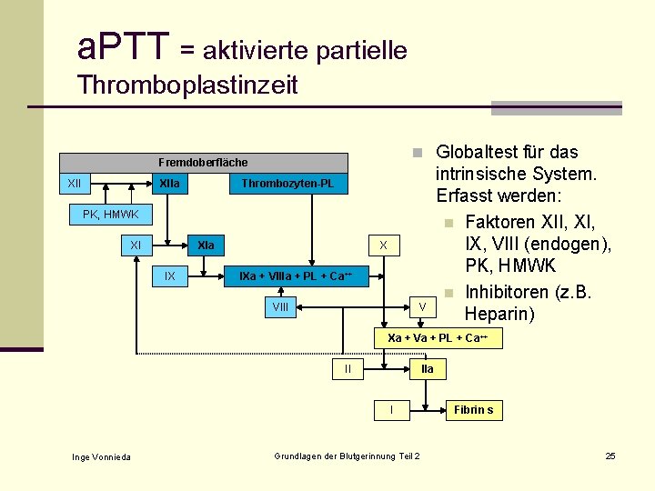 a. PTT = aktivierte partielle Thromboplastinzeit n Globaltest für das Fremdoberfläche XIIa Thrombozyten-PL PK,