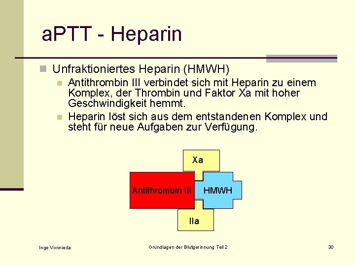 a. PTT - Heparin n Unfraktioniertes Heparin (HMWH) n Antithrombin III verbindet sich mit