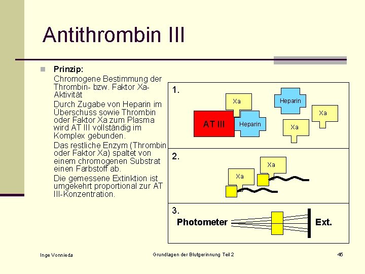 Antithrombin III n Prinzip: Chromogene Bestimmung der Thrombin- bzw. Faktor Xa 1. Aktivität Durch