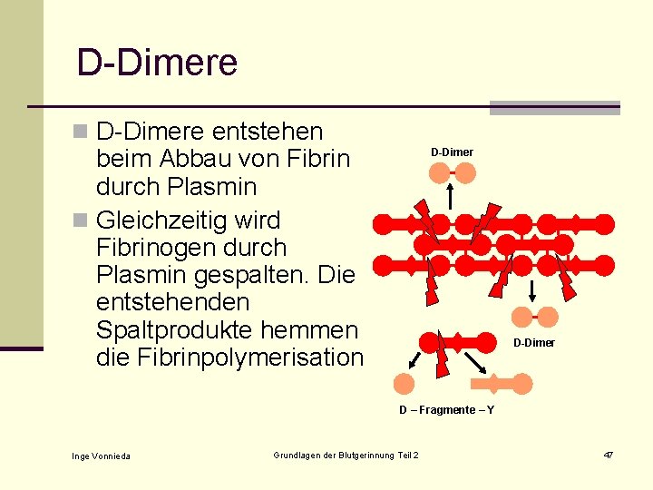 D-Dimere n D-Dimere entstehen beim Abbau von Fibrin durch Plasmin n Gleichzeitig wird Fibrinogen
