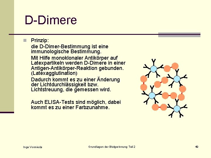 D-Dimere n Prinzip: die D-Dimer-Bestimmung ist eine immunologische Bestimmung. Mit Hilfe monoklonaler Antikörper auf