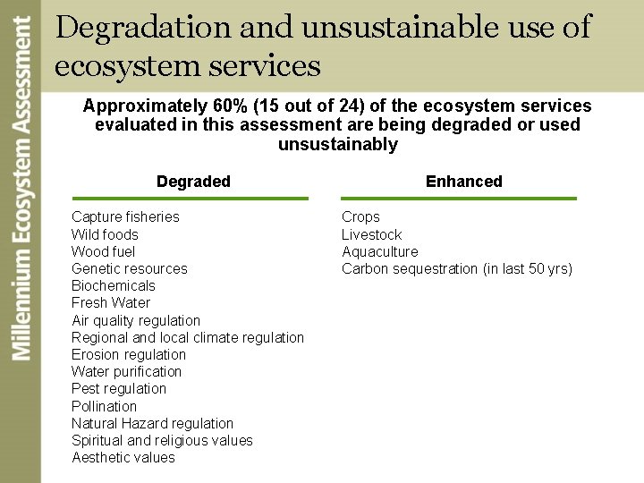 More Than 50% Of Ecosystems Are Currently Being Used Unsustainably.