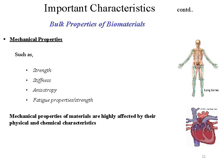 Important Characteristics contd. . Bulk Properties of Biomaterials § Mechanical Properties Such as, •