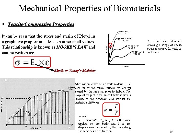 Mechanical Properties of Biomaterials § Tensile/Compressive Properties It can be seen that the stress