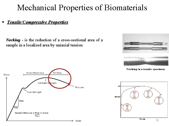 Mechanical Properties of Biomaterials § Tensile/Compressive Properties Necking - is the reduction of a