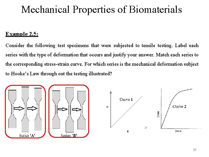 Mechanical Properties of Biomaterials Example 2. 5: Consider the following test specimens that were