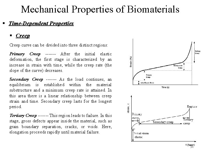 Mechanical Properties of Biomaterials § Time-Dependent Properties § Creep curve can be divided into