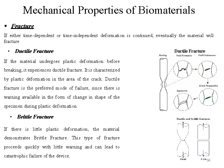 Mechanical Properties of Biomaterials § Fracture If either time-dependent or time-independent deformation is continued,