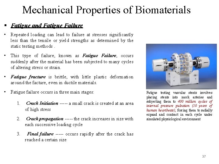 Mechanical Properties of Biomaterials § Fatigue and Fatigue Failure • Repeated loading can lead