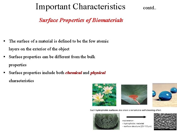 Important Characteristics contd. . Surface Properties of Biomaterials § The surface of a material