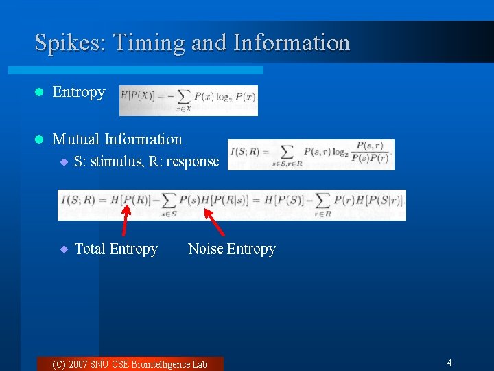 Spikes: Timing and Information l Entropy l Mutual Information ¨ S: stimulus, R: response