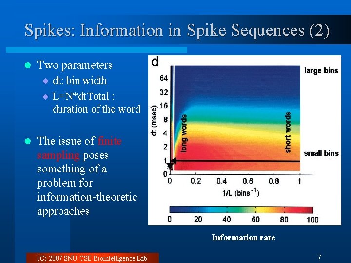 Spikes: Information in Spike Sequences (2) l Two parameters ¨ dt: bin width ¨