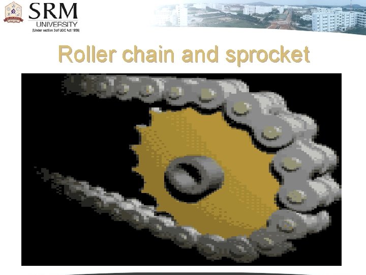 Roller chain and sprocket 