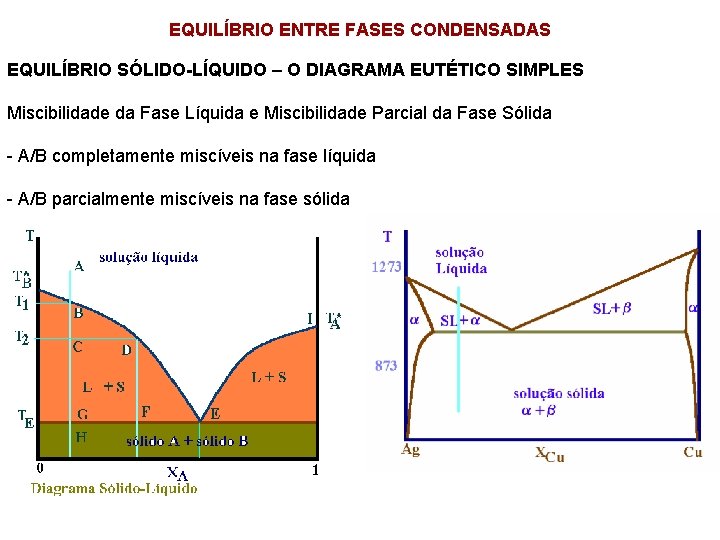 EQUILÍBRIO ENTRE FASES CONDENSADAS EQUILÍBRIO SÓLIDO-LÍQUIDO – O DIAGRAMA EUTÉTICO SIMPLES Miscibilidade da Fase