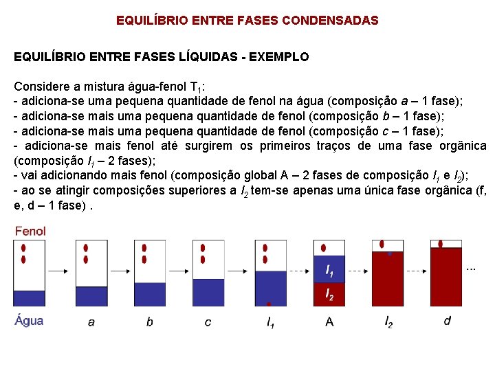 EQUILÍBRIO ENTRE FASES CONDENSADAS EQUILÍBRIO ENTRE FASES LÍQUIDAS - EXEMPLO Considere a mistura água-fenol