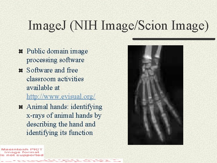 Image. J (NIH Image/Scion Image) Public domain image processing software Software and free classroom