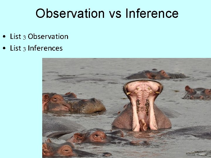 Observation vs Inference • List 3 Observation • List 3 Inferences 