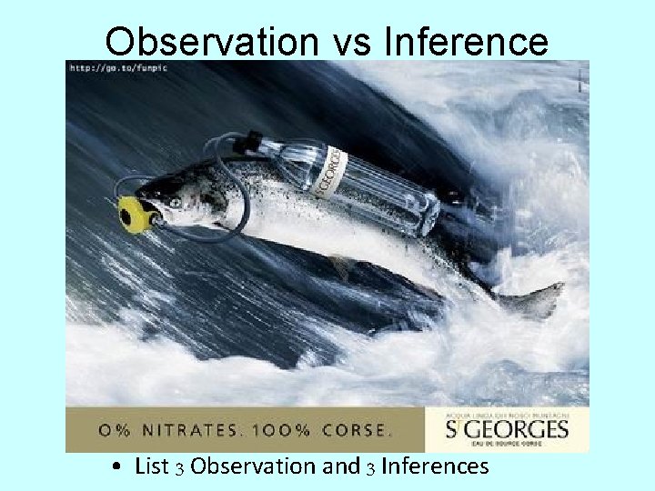 Observation vs Inference • List 3 Observation and 3 Inferences 