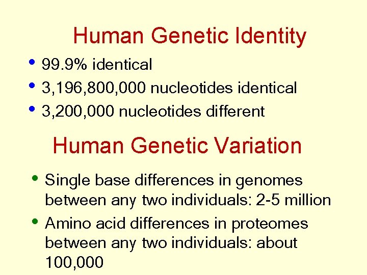 Human Genetic Identity • 99. 9% identical • 3, 196, 800, 000 nucleotides identical