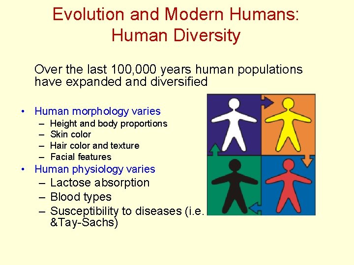 Evolution and Modern Humans: Human Diversity Over the last 100, 000 years human populations