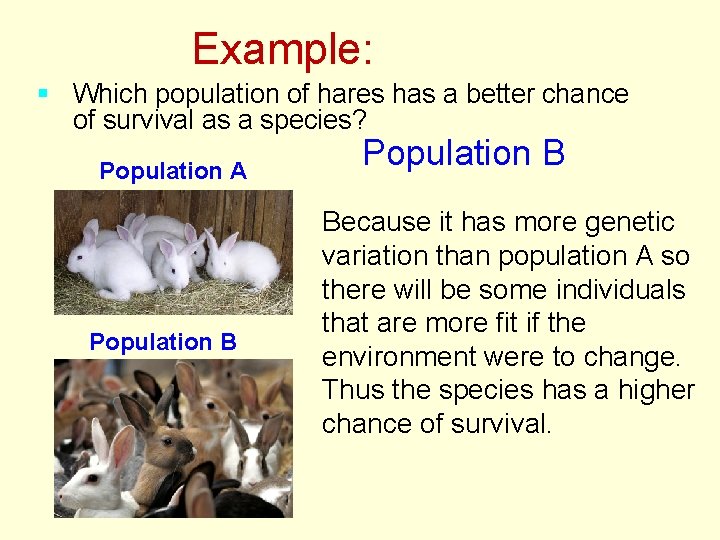 Example: § Which population of hares has a better chance of survival as a