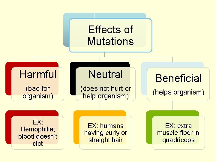 Effects of Mutations Harmful Neutral (bad for organism) (does not hurt or help organism)