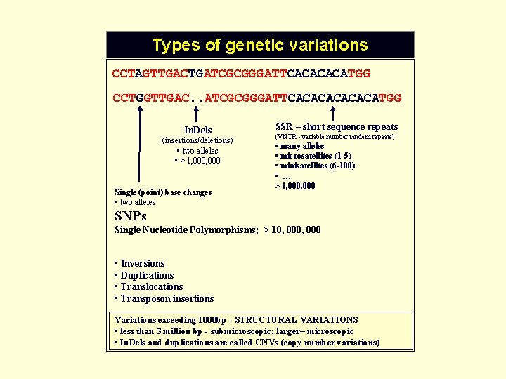 Types of genetic variations CCTAGTTGACTGATCGCGGGATTCACATGG CCTGGTTGAC. . ATCGCGGGATTCACACATGG In. Dels (insertions/deletions) • two alleles