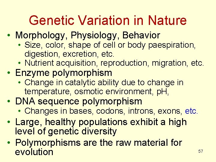Genetic Variation in Nature • Morphology, Physiology, Behavior • Size, color, shape of cell