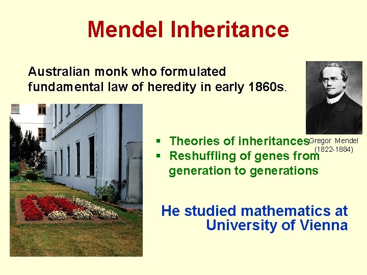 Mendel Inheritance Australian monk who formulated fundamental law of heredity in early 1860 s.