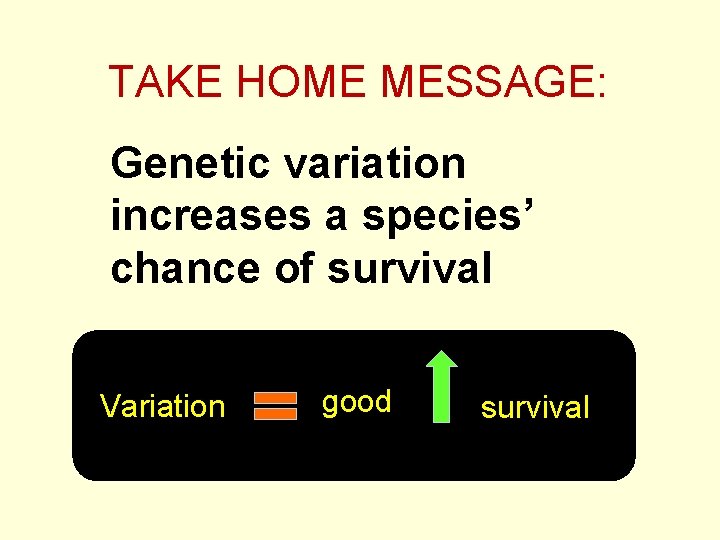 TAKE HOME MESSAGE: Genetic variation increases a species’ chance of survival Variation good survival