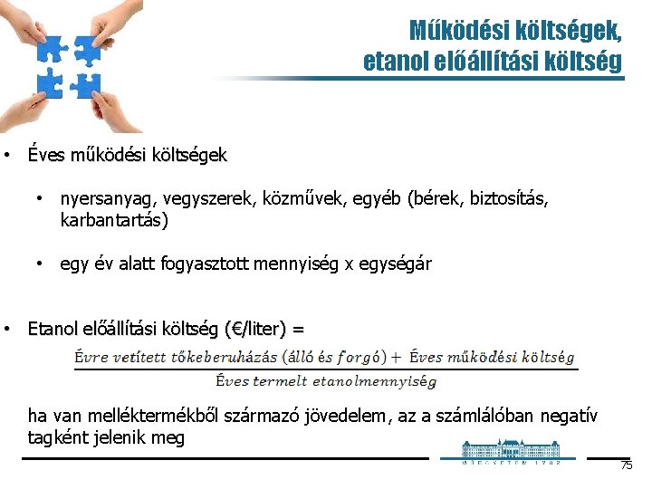 Működési költségek, etanol előállítási költség • Éves működési költségek • nyersanyag, vegyszerek, közművek, egyéb