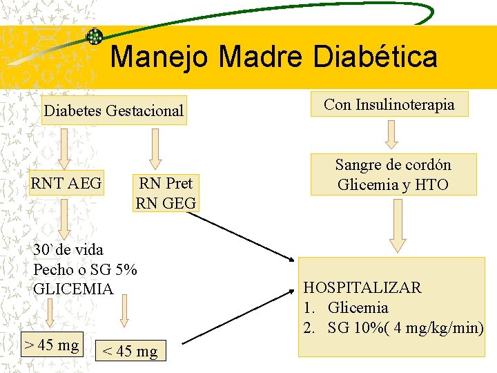 Manejo Madre Diabética Diabetes Gestacional RNT AEG RN Pret RN GEG 30`de vida Pecho