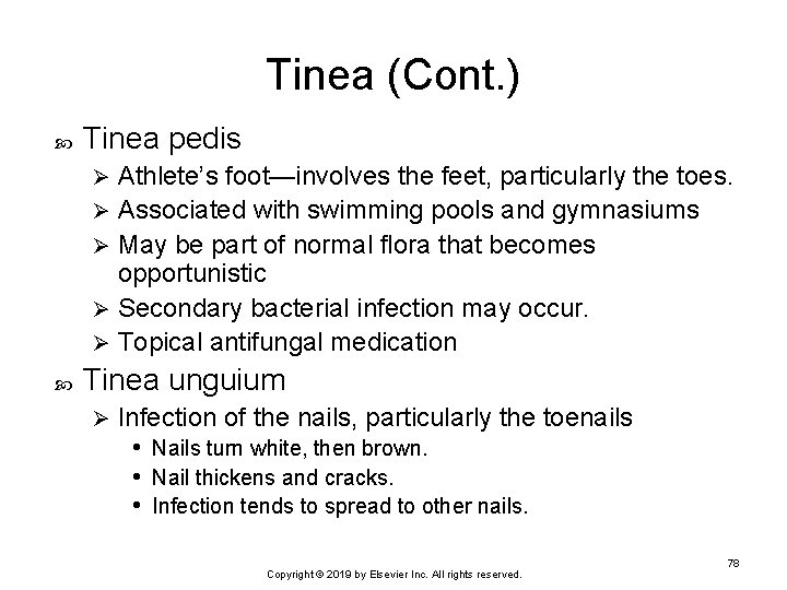 Tinea (Cont. ) Tinea pedis Athlete’s foot—involves the feet, particularly the toes. Ø Associated