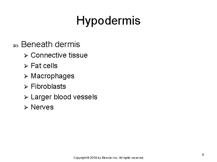 Hypodermis Beneath dermis Connective tissue Ø Fat cells Ø Macrophages Ø Fibroblasts Ø Larger