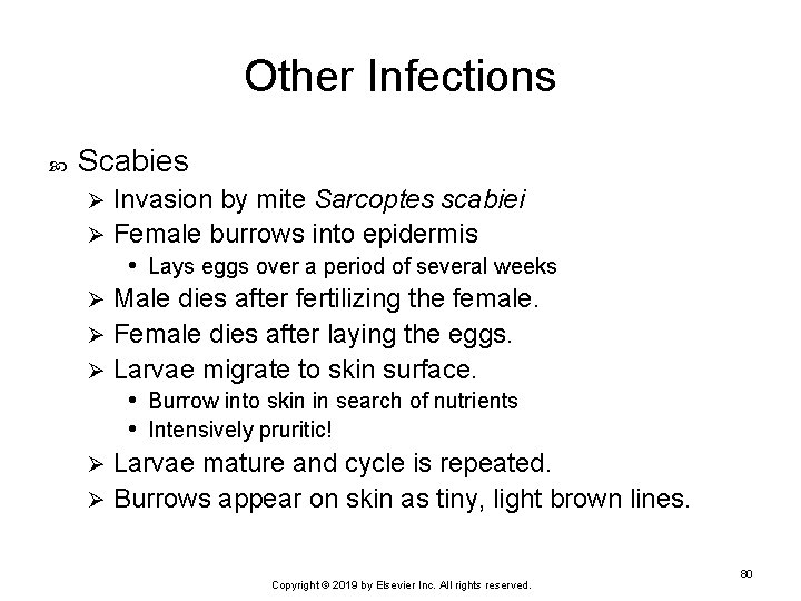 Other Infections Scabies Invasion by mite Sarcoptes scabiei Ø Female burrows into epidermis •