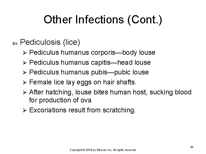 Other Infections (Cont. ) Pediculosis (lice) Pediculus humanus corporis—body louse Ø Pediculus humanus capitis—head