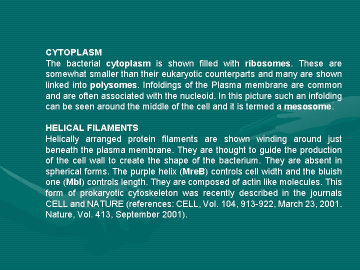 CYTOPLASM The bacterial cytoplasm is shown filled with ribosomes. These are somewhat smaller than