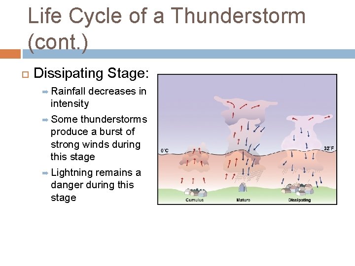 Life Cycle of a Thunderstorm (cont. ) Dissipating Stage: ➡ Rainfall decreases in intensity