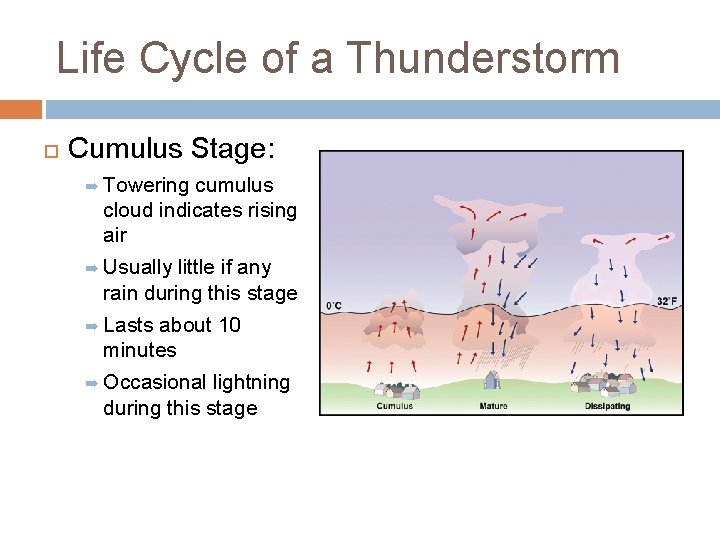 Life Cycle of a Thunderstorm Cumulus Stage: ➡ Towering cumulus cloud indicates rising air