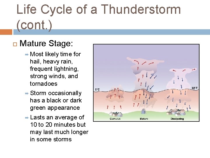 Life Cycle of a Thunderstorm (cont. ) Mature Stage: ➡ Most likely time for