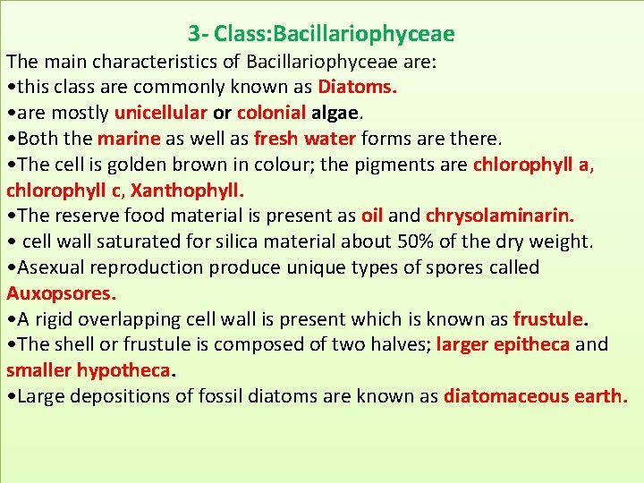 3 - Class: Bacillariophyceae The main characteristics of Bacillariophyceae are: • this class are