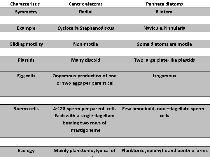 Characteristic Symmetry Centric aiatoms Radial Pennate diatoms Bilateral Example Cyclotella, Stephanodiscus Navicula, Pinnularia Gliding
