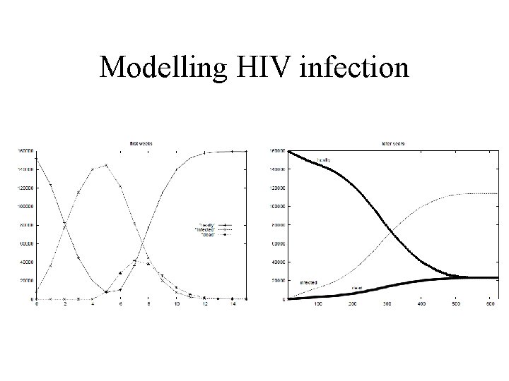 Modelling HIV infection 