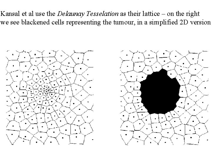 Kansal et al use the Delaunay Tesselation as their lattice – on the right
