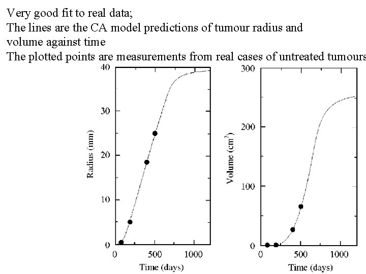 Very good fit to real data; The lines are the CA model predictions of